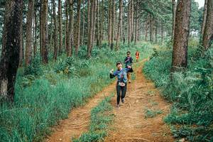 BIB: 
                            <button type="button" onclick="openModal(25658752)" class="btn btn-primary btn-sm float-right btn-popup" data-toggle="modal" data-target=".modal-high-quality">
                        <i class="fas fa-shopping-cart"></i> Add to Cart
                    </button>
                                            <button type="button" onclick="isThisMe(25658752, true)" class="btn btn-success btn-sm float-right btn-popup btn-isme hidden" data-toggle="tooltip" data-placement="bottom" title="นี่คือรูปของคุณใช่ไหม คลิกที่นี่เพื่อเอาเข้าอัลบั้ม">
                        <i class="fas fa-plus"></i> Add to album
                    </button>
                    <button type="button" onclick="isThisMe(25658752, false)" class="btn btn-warning btn-sm float-right btn-popup btn-isnotme hidden">
                        <i class="fas fa-ban"></i> Remove from album
                    </button>